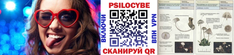 Галлюциногенные грибы GOLDEN TEACHER  мега зеркало  Буй  где купить  